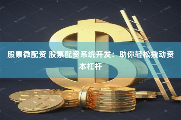 股票微配资 股票配资系统开发：助你轻松撬动资本杠杆