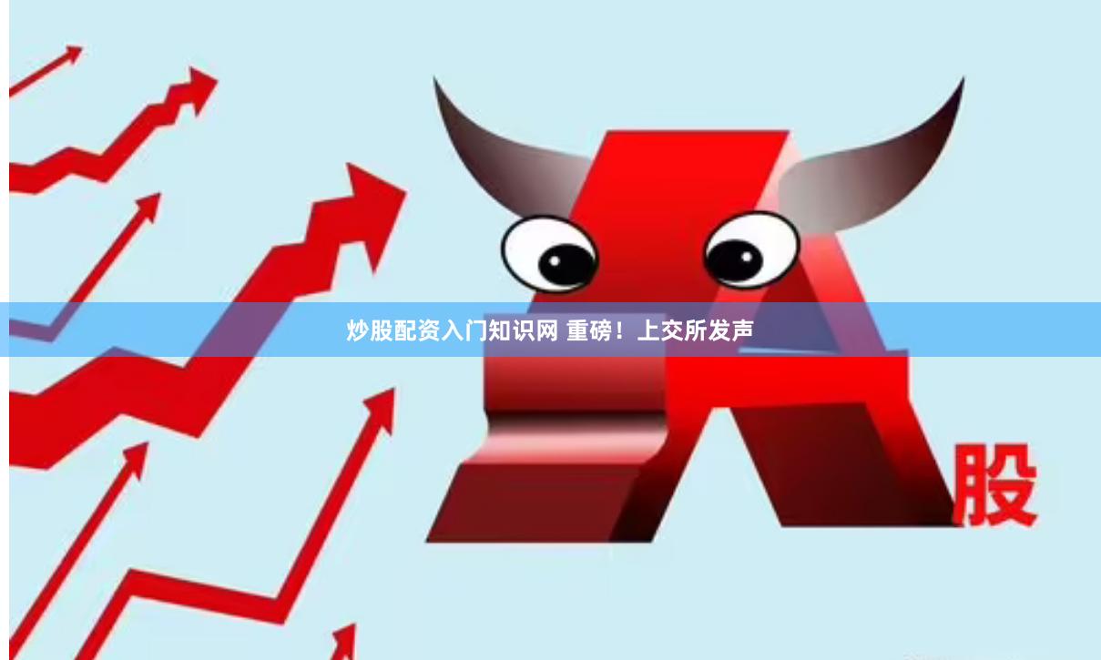 炒股配资入门知识网 重磅！上交所发声
