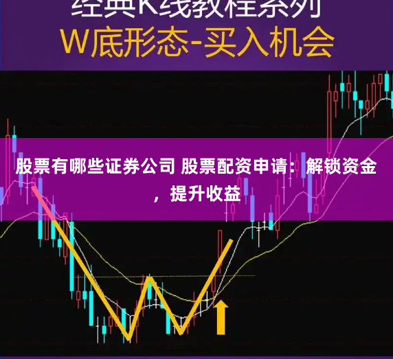 股票有哪些证券公司 股票配资申请：解锁资金，提升收益
