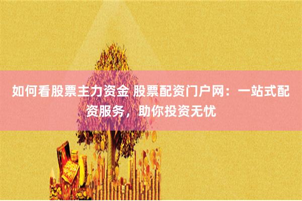 如何看股票主力资金 股票配资门户网：一站式配资服务，助你投资无忧